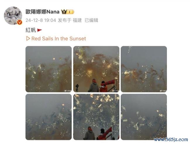 蔡国强烟花秀大量无东谈主机坠海 不测激发网友缺憾