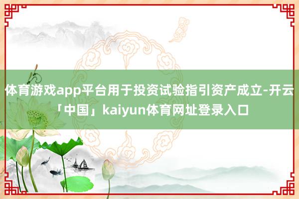体育游戏app平台用于投资试验指引资产成立-开云「中国」kaiyun体育网址登录入口